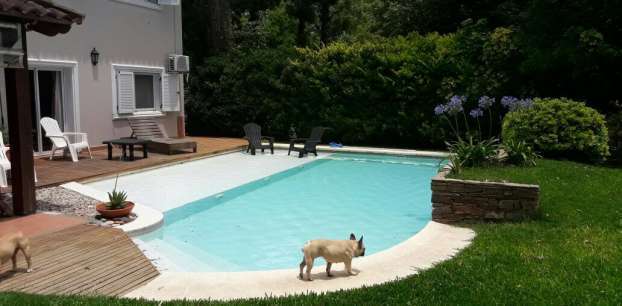 Marcovecchio Propiedades Consultoria Desarrollos